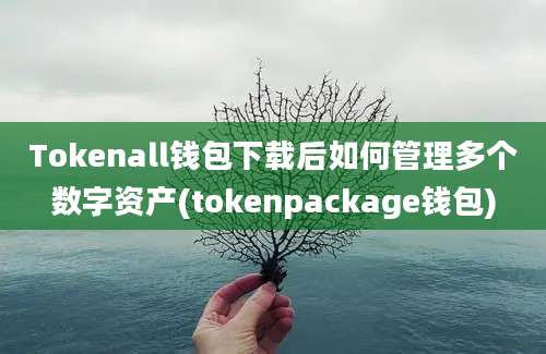 Tokenall钱包下载后如何管理多个数字资产(tokenpackage钱包)