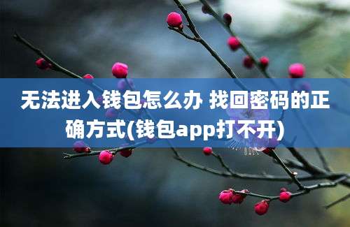 无法进入钱包怎么办 找回密码的正确方式(钱包app打不开)