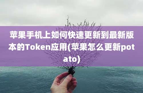 苹果手机上如何快速更新到最新版本的Token应用(苹果怎么更新potato)