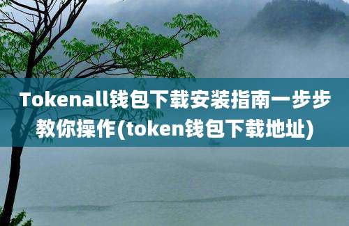 Tokenall钱包下载安装指南一步步教你操作(token钱包下载地址)