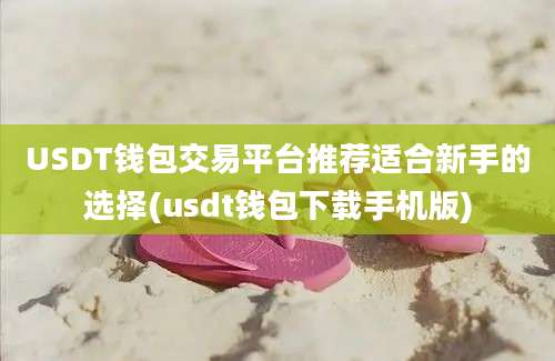 USDT钱包交易平台推荐适合新手的选择(usdt钱包下载手机版)